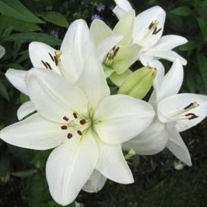 Meet your Posher, Staci